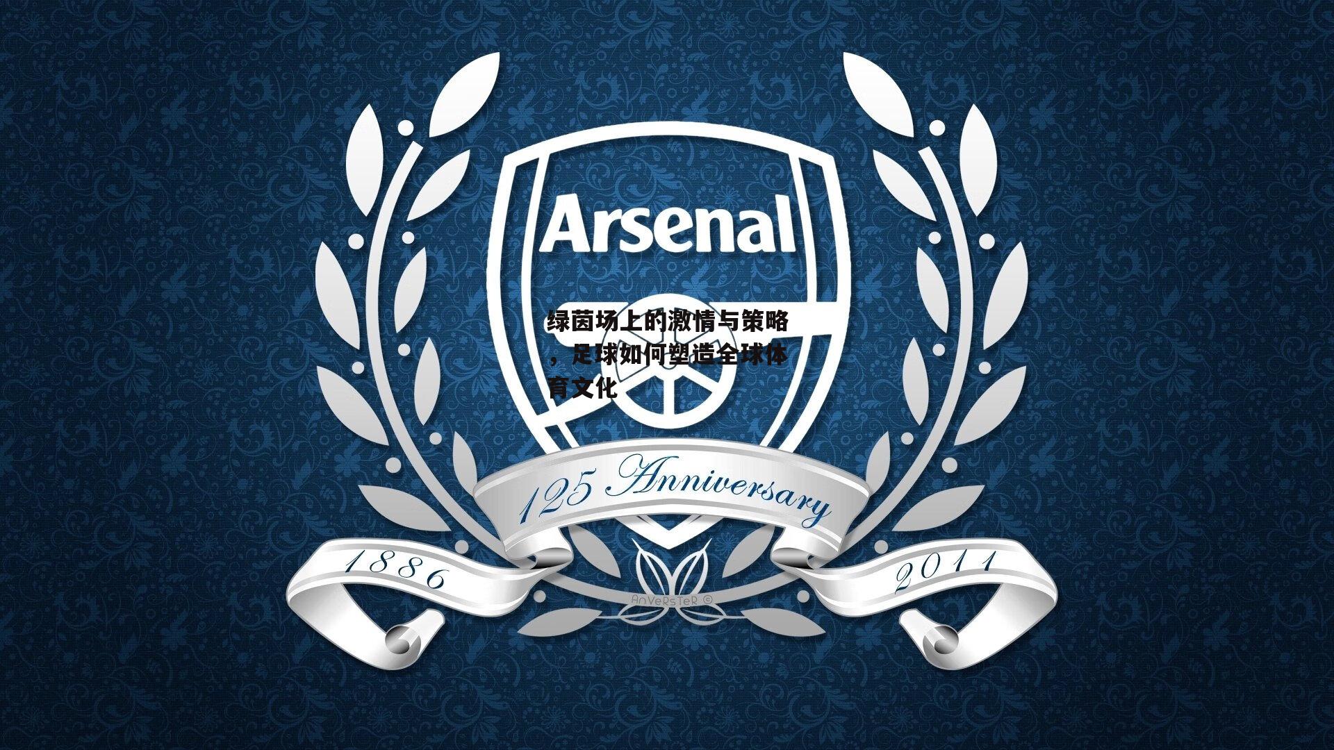 绿茵场上的激情与策略,足球如何塑造全球体育文化