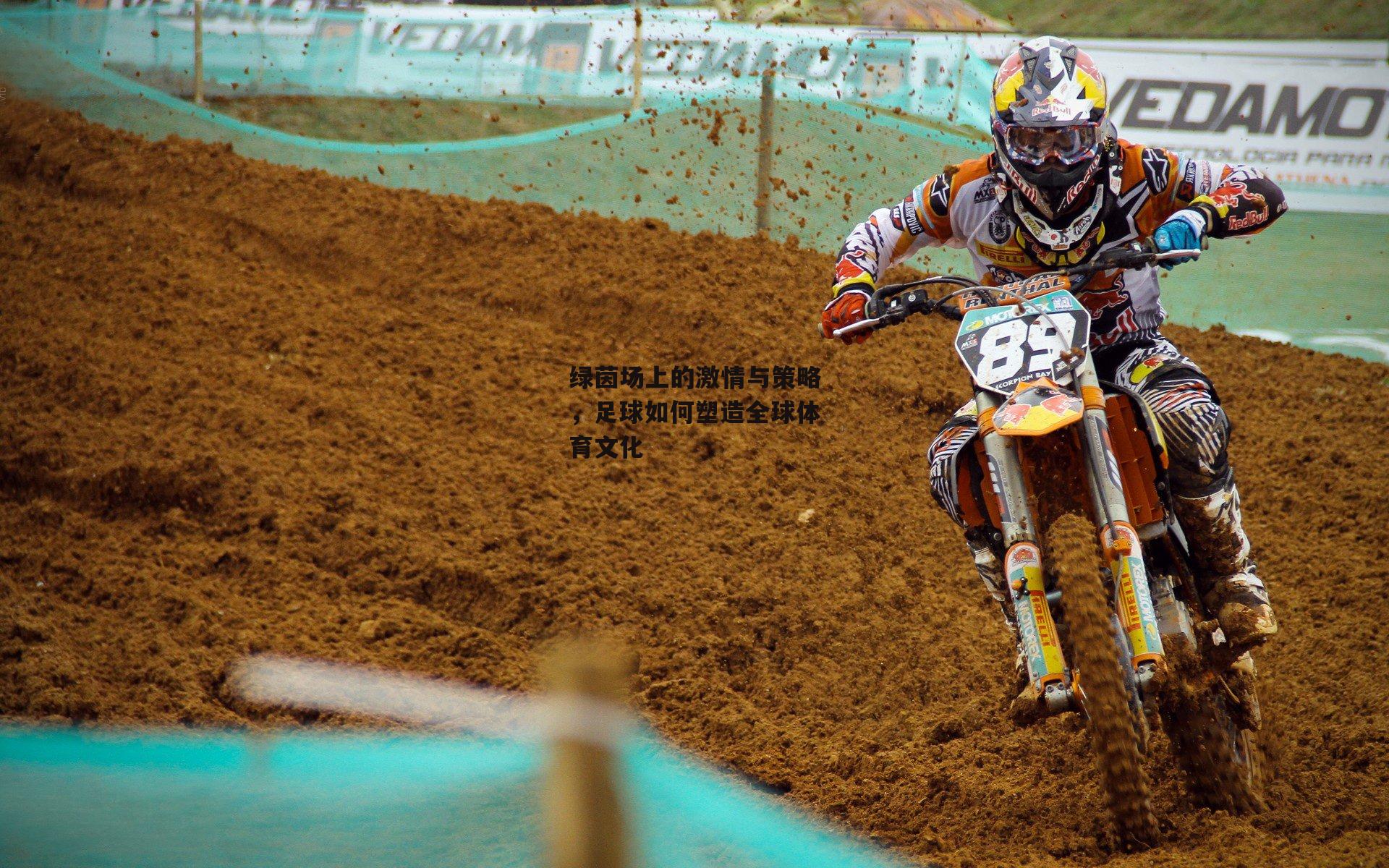 绿茵场上的激情与策略,足球如何塑造全球体育文化
